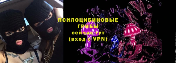 эйфоретик Белокуриха