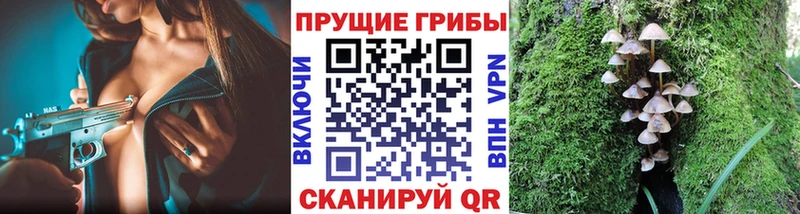 купить закладку  Дрезна  ссылка на мегу   Галлюциногенные грибы Psilocybine cubensis 